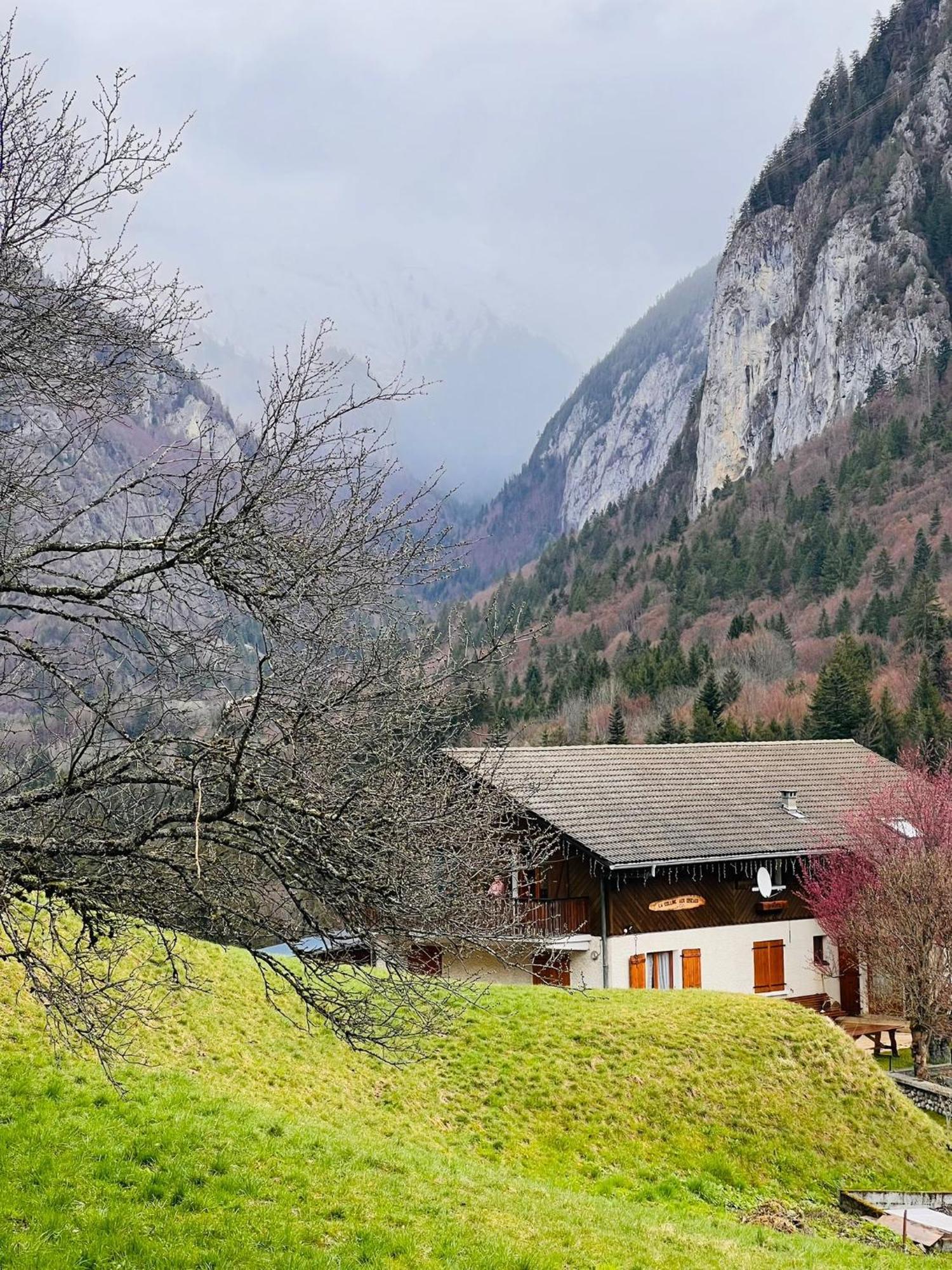 Villa Chalet Du Bonheur à Bonnevaux  Extérieur photo